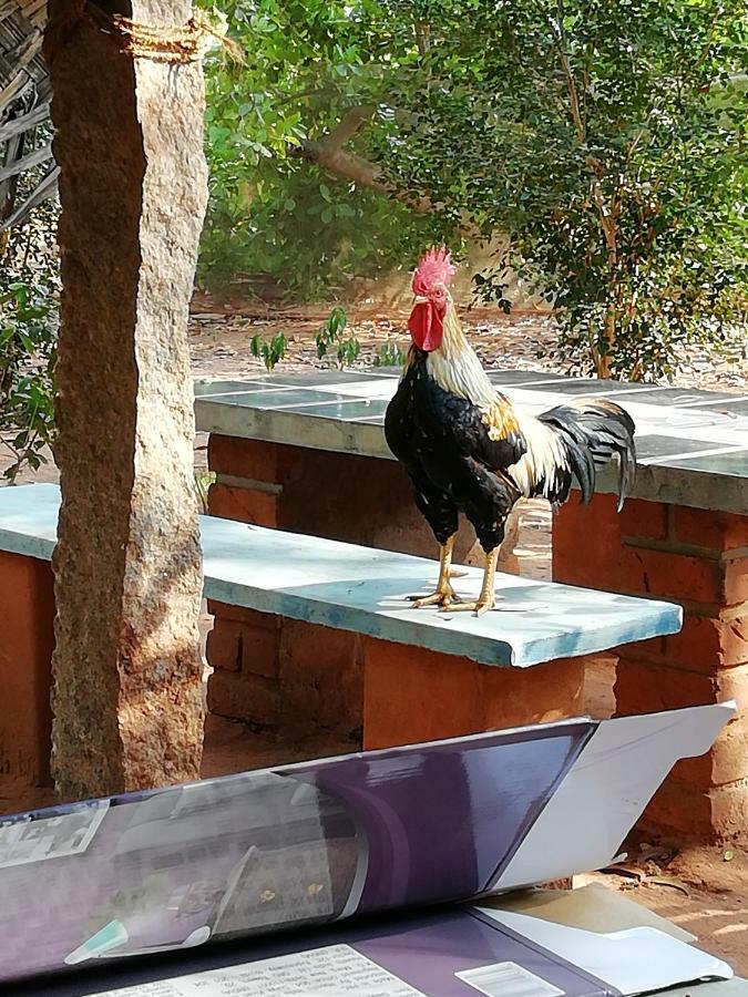 Purity Guest House Auroville Exterior photo
